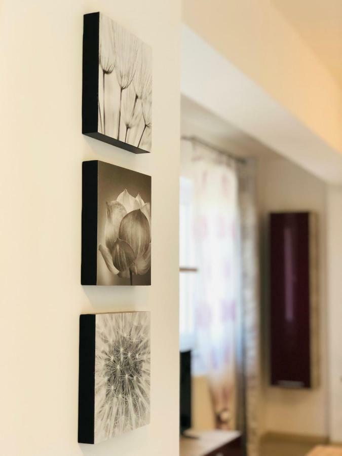 Eme Apartments Брашов Екстер'єр фото